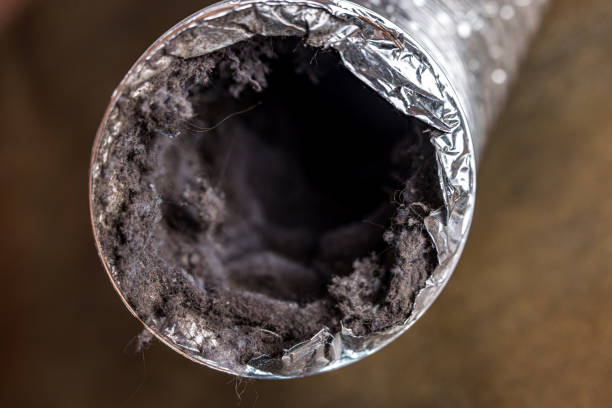 Best Best Air Duct Cleaning Near Me  in Forest City, NC